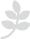 Medigap Support